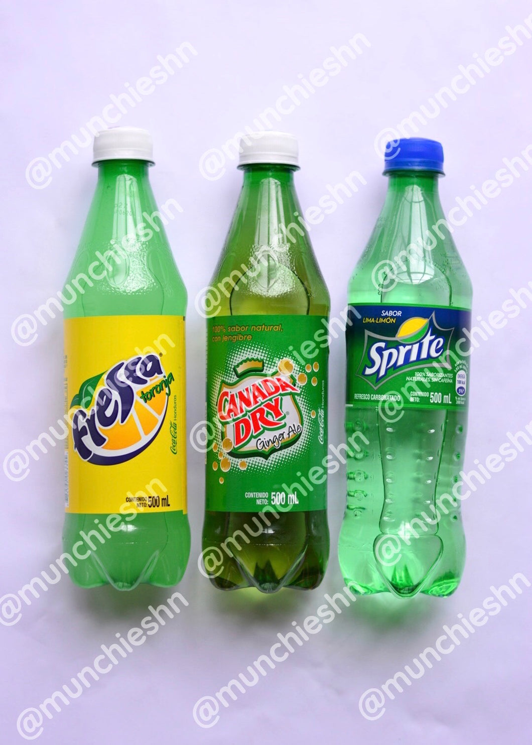 Refresco Sabores 500ml